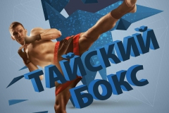 Тайский Бокс А3